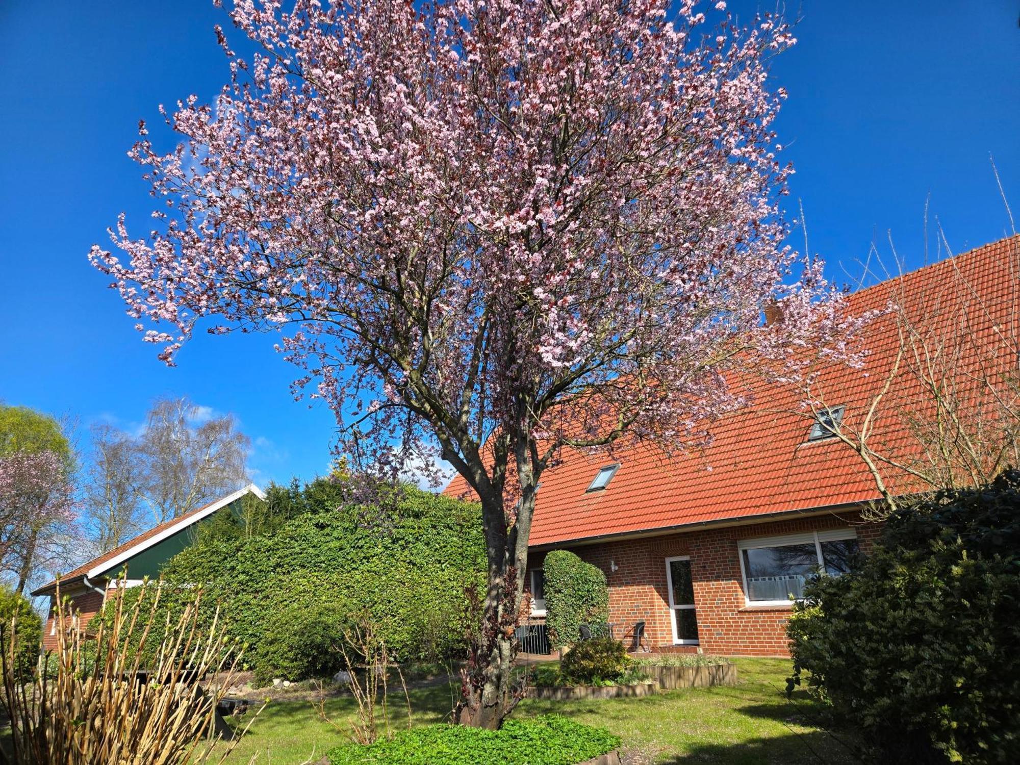 Ferienbauernhof De Slaaphoeve Emlichheim ภายนอก รูปภาพ